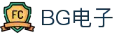 BG电子·(中国区)官方网站